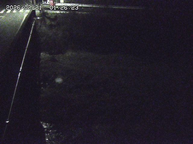 取得できませんでした