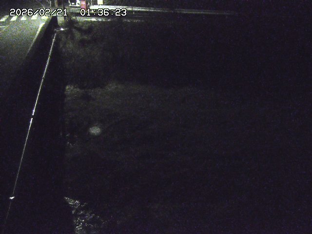 取得できませんでした