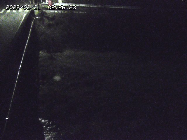 取得できませんでした