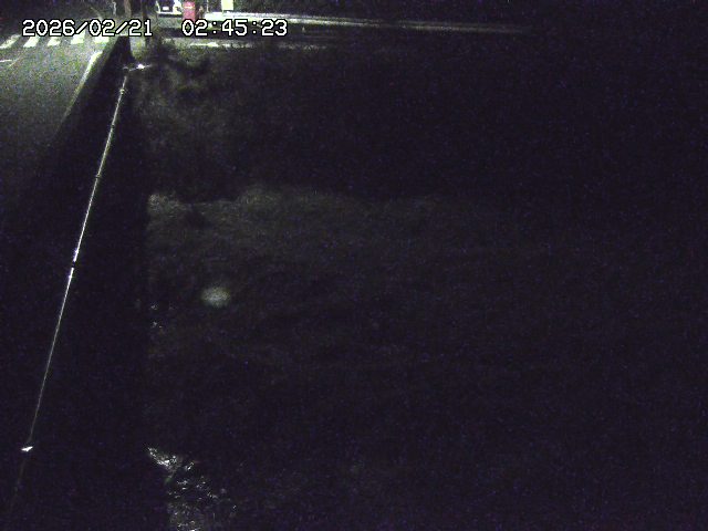 取得できませんでした