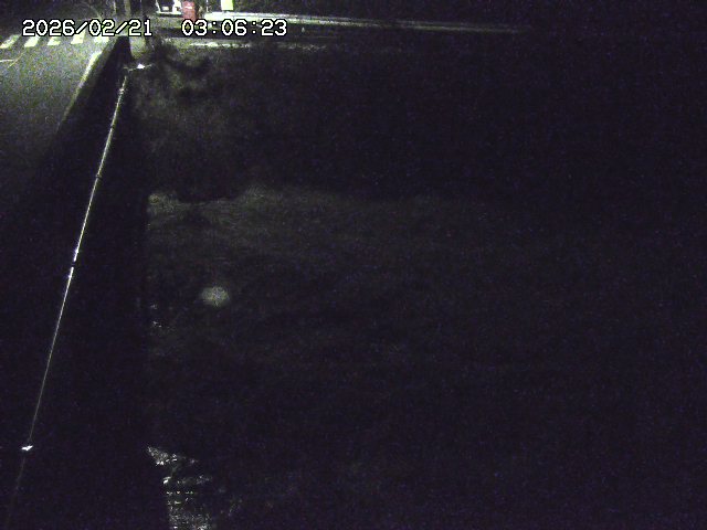 取得できませんでした