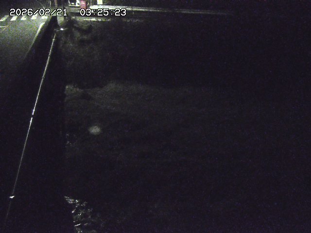 取得できませんでした