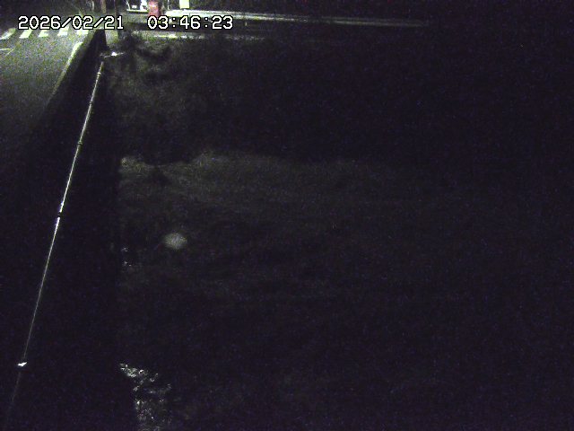 取得できませんでした