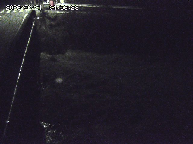 取得できませんでした