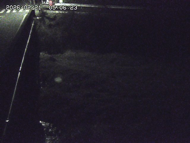 取得できませんでした