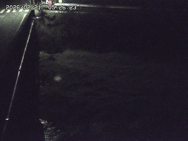 取得できませんでした