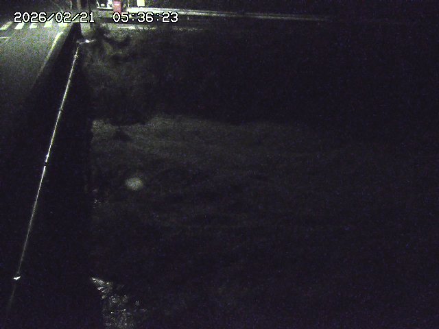 取得できませんでした