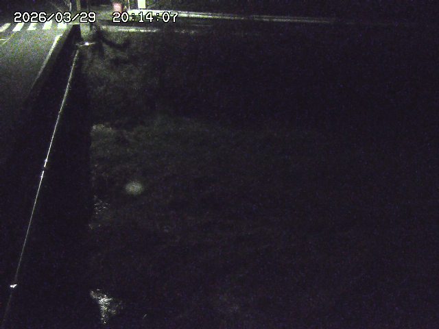 取得できませんでした