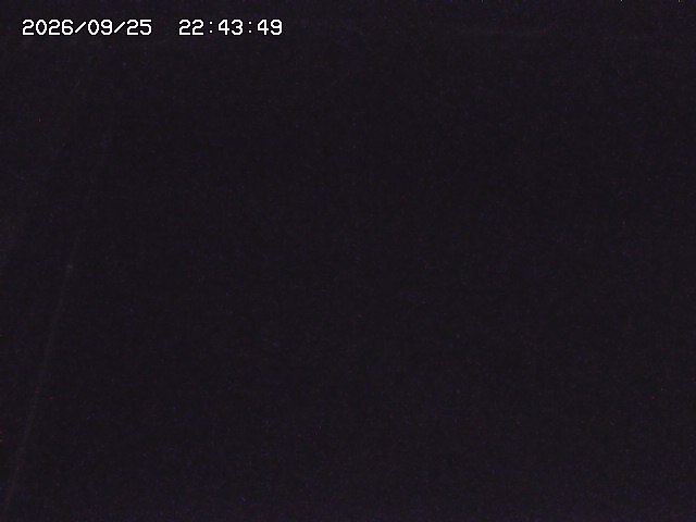 取得できませんでした