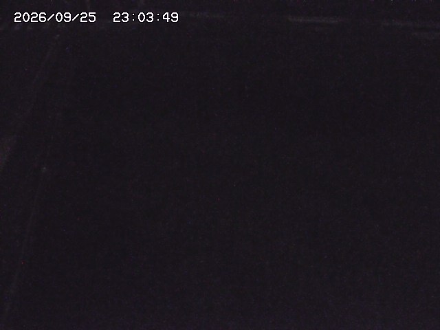 取得できませんでした