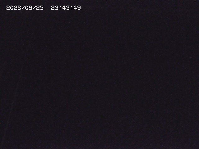 取得できませんでした