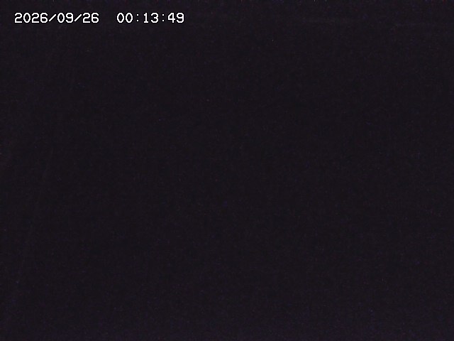 取得できませんでした