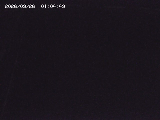 取得できませんでした