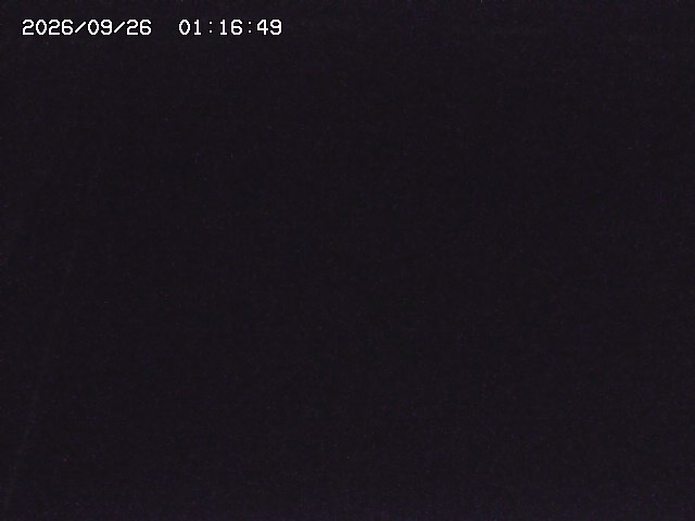 取得できませんでした