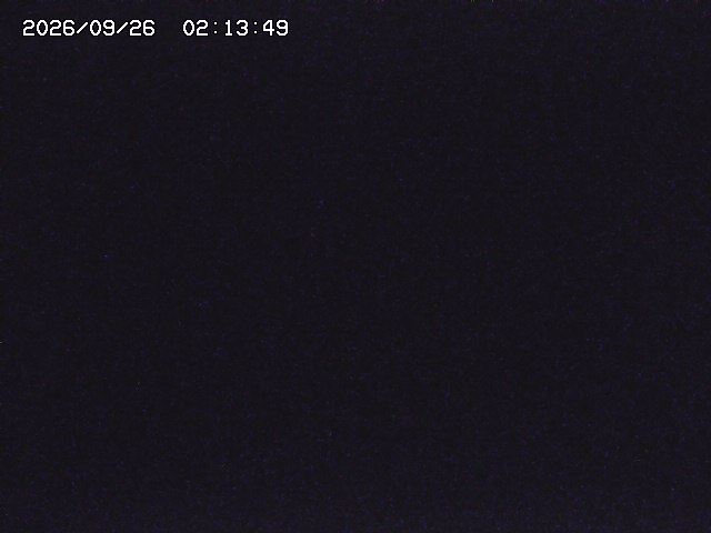 取得できませんでした