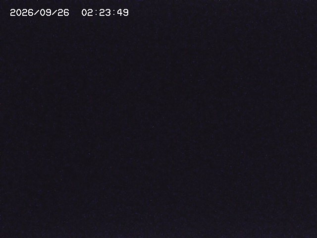 取得できませんでした