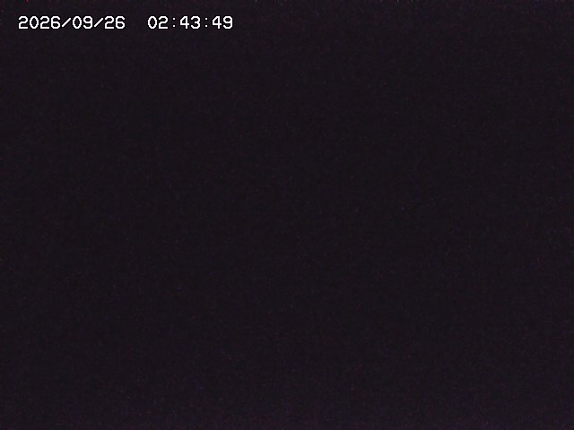 取得できませんでした