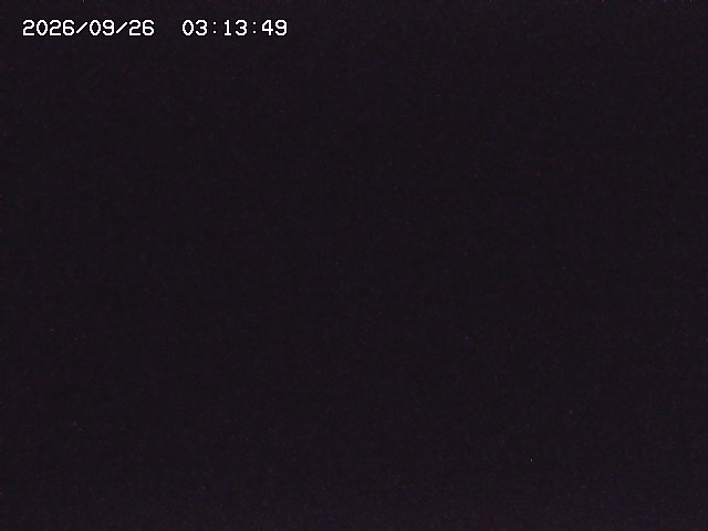 取得できませんでした