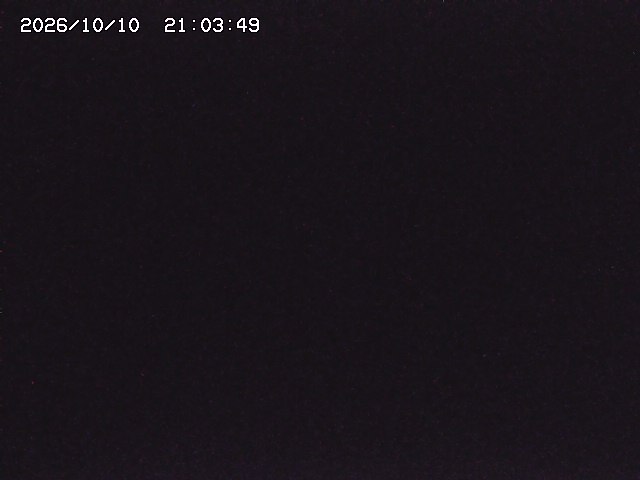 取得できませんでした