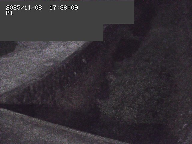 取得できませんでした