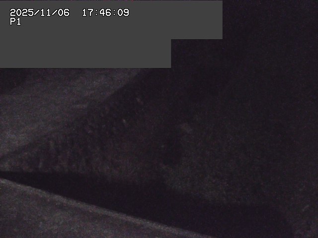 取得できませんでした