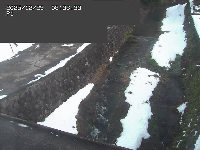 取得できませんでした