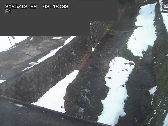 取得できませんでした