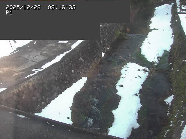 取得できませんでした