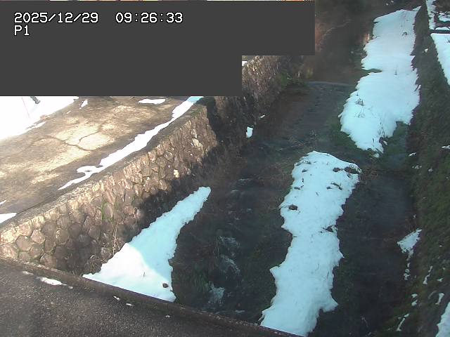 取得できませんでした