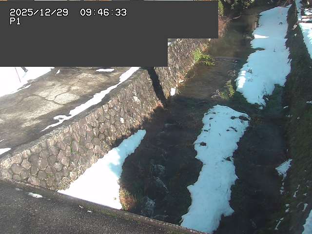 取得できませんでした