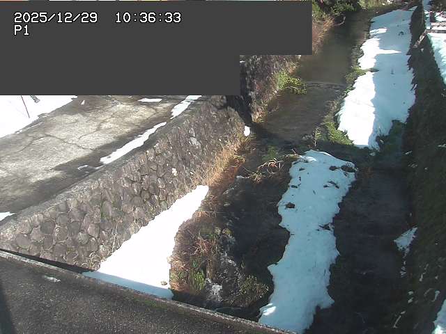 取得できませんでした