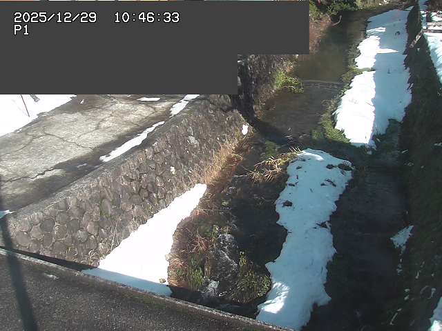 取得できませんでした