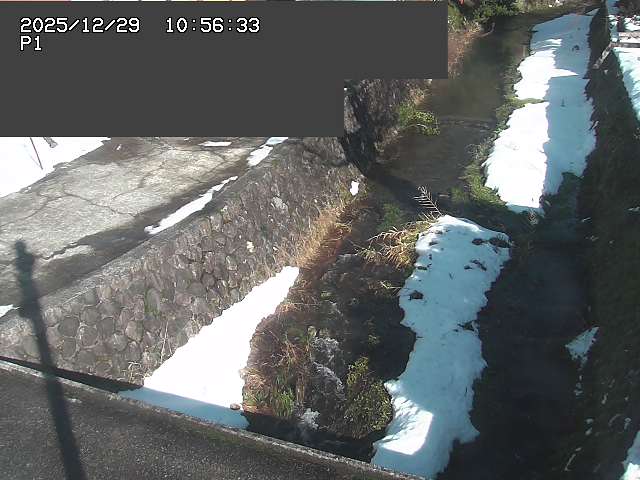 取得できませんでした