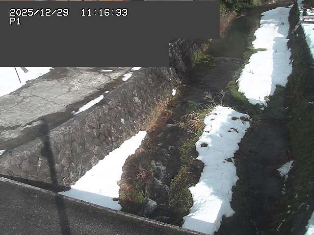 取得できませんでした