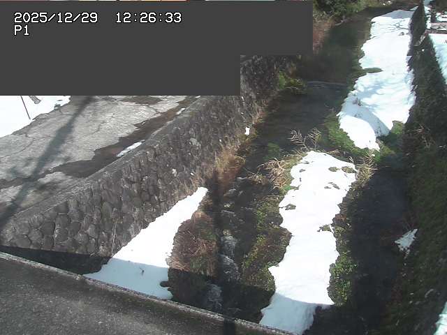 取得できませんでした