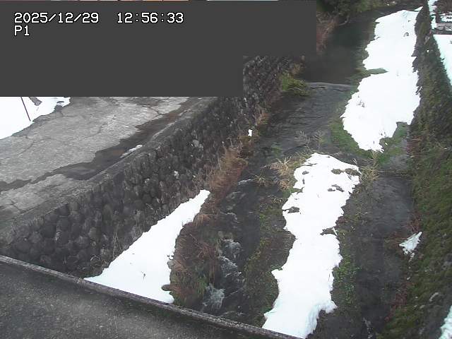 取得できませんでした