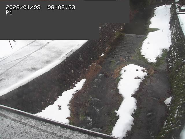 取得できませんでした