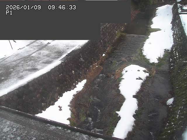 取得できませんでした