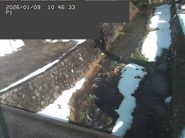 取得できませんでした