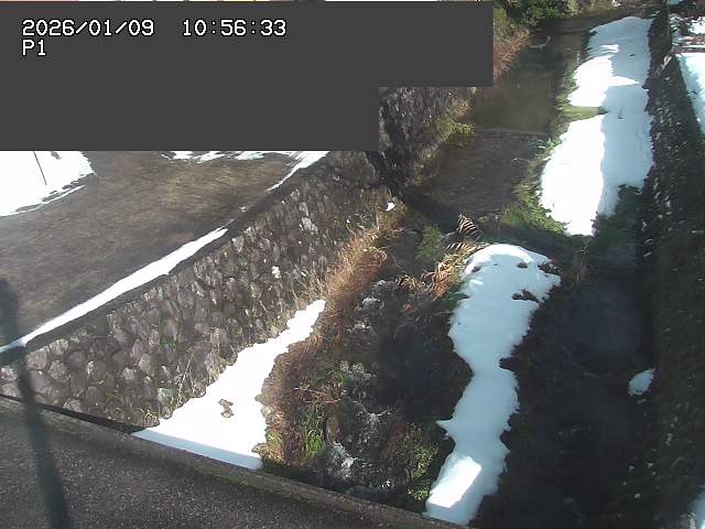 取得できませんでした