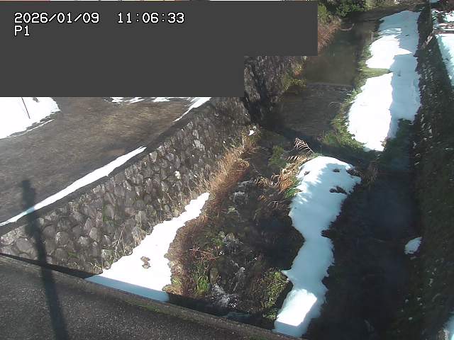 取得できませんでした