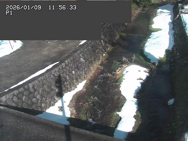 取得できませんでした