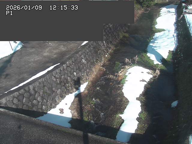 取得できませんでした