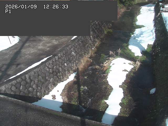 取得できませんでした