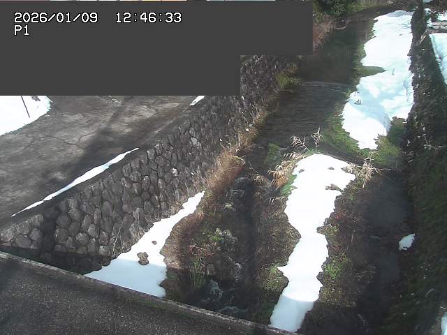 取得できませんでした