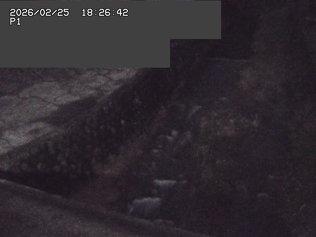 取得できませんでした