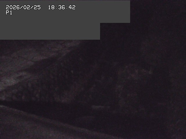 取得できませんでした