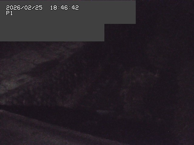 取得できませんでした