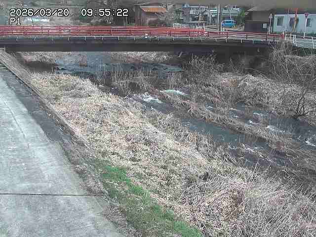 取得できませんでした