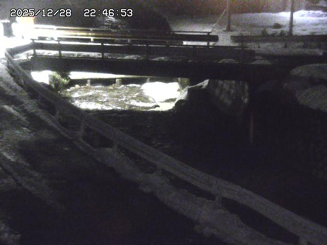 取得できませんでした